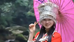 青青的青海我的愛 飯制版