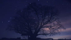 靜謐之空