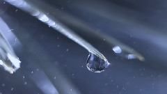 光與雨