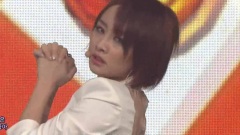 不能成為淑女