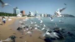 韓國旅游宣傳片
