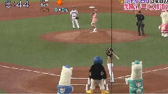乃木坂46 白石麻衣第三次始球式新聞