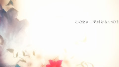 Nico - 黑貓