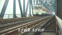 劉德華 - 回家的路