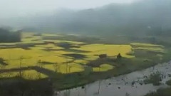 誰不說咱家鄉好