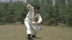 醉劍