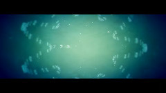 アイソレート?アジテート