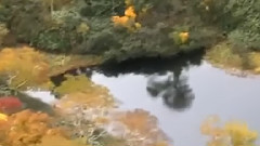 民樂群星 - 青藏高原