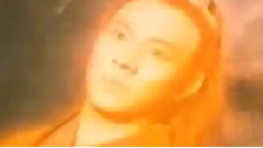 中華武魂