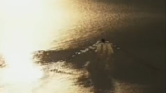 民樂群星 - 鴻雁 馬頭琴版
