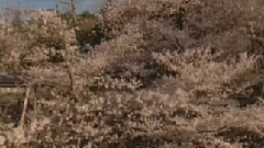 降魔劍