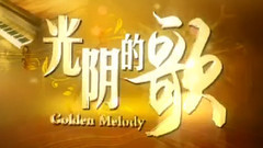 光陰的歌 王菲演唱會集錦