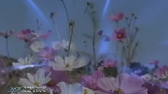 Giovanni Marradi,音樂短片 - Garden Of Dreams