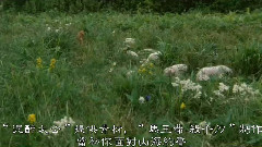 共你癡癡愛在(友情版)
