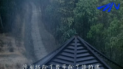 煙花易冷