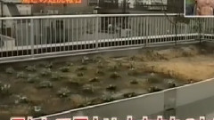 一個屋頂上 07