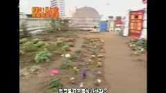 一個屋頂上 20