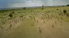 非洲夢