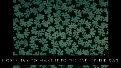 Black Lemon 歌詞版