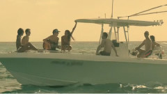 Summer Paradise