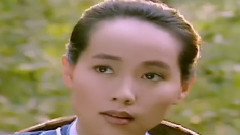 山岡的小牧童到茶山頂