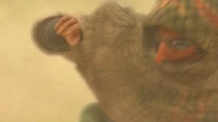 怪物獵人