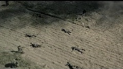 The Warrior Song <使命召喚8>插曲