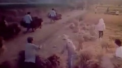 雙腳踏上幸福路