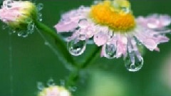 雨的印記