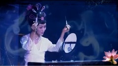 鏡照佳人花無眠