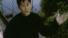 愛情多瑙河