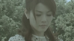 落葉