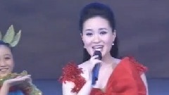 愛在飛翔
