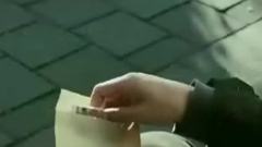 雛菊