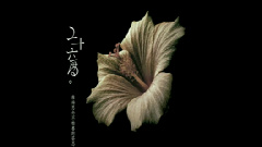 你如今好嗎
