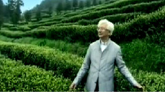 白茶戀曲