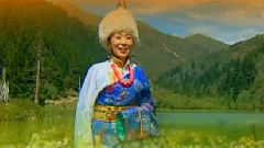美麗的拉毛