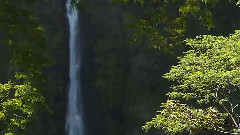 大自然風光