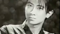 愛情白皮書