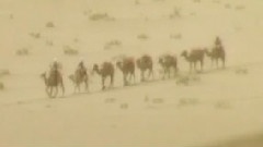 羅珊的面紗