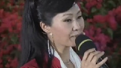 美麗中國