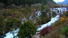 九寨溝之樹正群海