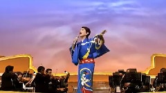 淚を抱いた渡り鳥