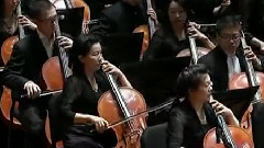 民樂群星 - 陌上花開片段