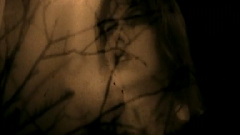 Bury My Lovely
