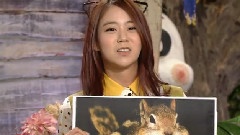 SBS TV 動物農場