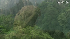 紅塵永相伴