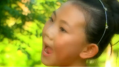 向陽花