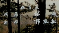 飛向遠方的故鄉