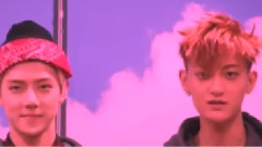 不要離我太遠